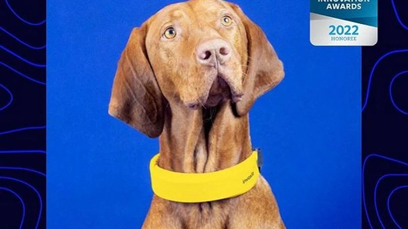 Invoxia, Dog Collar Invoxia, Dog Collar