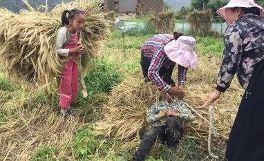 Women work harder than men, finds anthropological study in rural China women, farmers, china