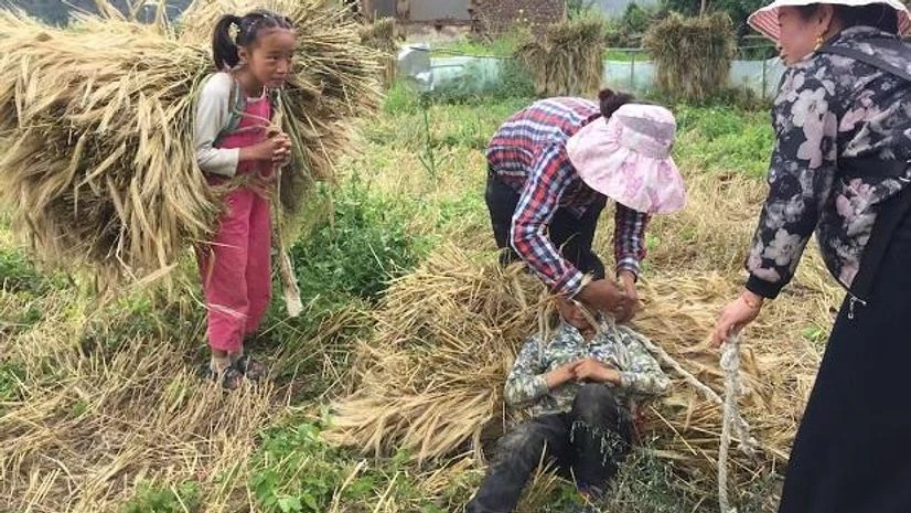 women, farmers, china The study sheds light on the gender division of work across many different kinds of society. (The Conversation)
