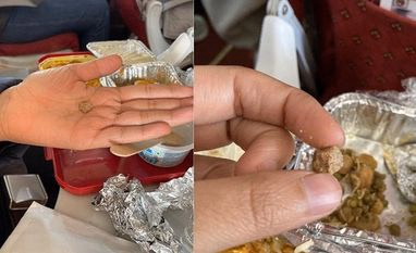 Now passenger finds stone in Air India's in-flight meal, airline responds Air India food has stone