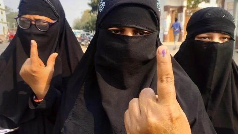 voting, voters, elections, poll voting, voters, elections, poll