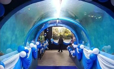 IPL 2023: Star Sports releases first campaign video, "Shor on, Game on!" aquatic