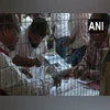 Vote counting, Assembly elections Photo: ANI/Twitter