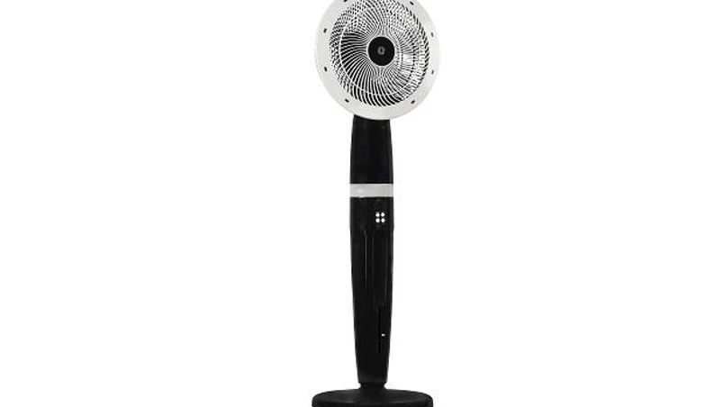 Fan Fan