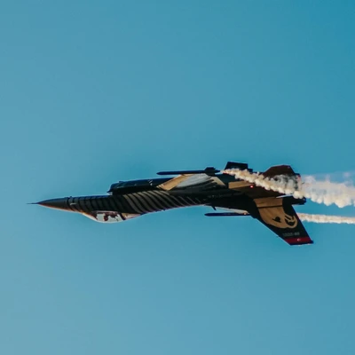 We proved air power's impact in shaping military outcomes: IAF chief pilot