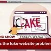 How big is the fake website problem?